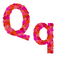 Image showing Flower alphabet of red roses, characters Q-q