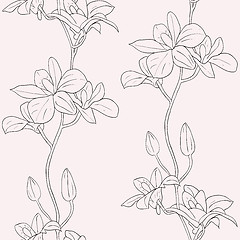 Image showing Vector seamless background with orchids