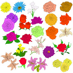 Image showing Set of  in hand drawn style roses. Vector EPS 10 illustration.