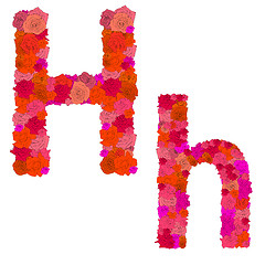 Image showing Flower alphabet of red roses, characters H-h