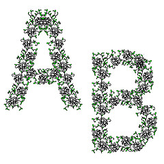 Image showing Hand drawing ornamental alphabet. Letter AB