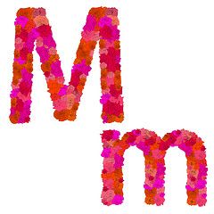 Image showing Flower alphabet of red roses, characters M-m