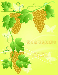 Image showing decorative grape illustration