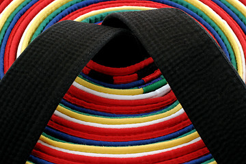 Image showing Martial Arts Belts - circle