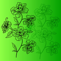 Image showing eps10 hand drawn background with a fantasy flower