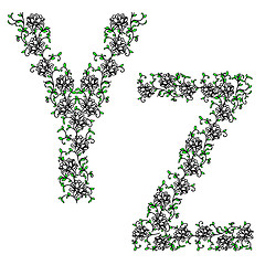 Image showing Hand drawing ornamental alphabet. Letter YZ