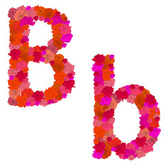 Image showing Flower alphabet Characters B-b