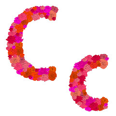 Image showing Flower alphabet Characters C-c