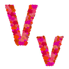 Image showing Flower alphabet of red roses, characters V-v