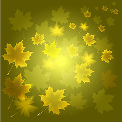 Image showing abstract flora background