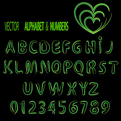 Image showing Vector herbal alphabet and numbers