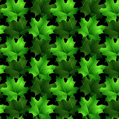 Image showing Seamless wallpaper pattern