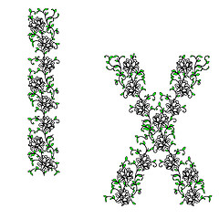 Image showing Hand drawing ornamental alphabet. Letter IX