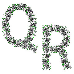 Image showing Hand drawing ornamental alphabet. Letter QR