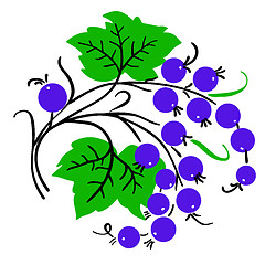 Image showing Bunch of red currant. Ripe berry. Vector