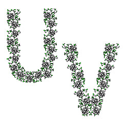 Image showing Hand drawing ornamental alphabet. Letter UV