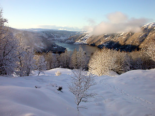 Image showing Winter