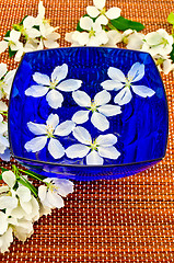 Image showing Apple blossom in the blue cup of water