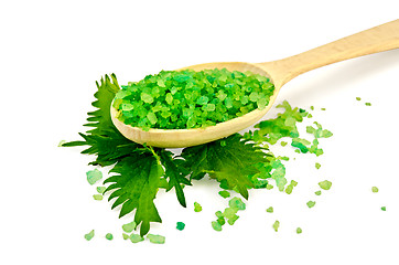 Image showing Salt of the green on the spoon with nettle