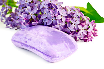 Image showing Soap violet with lilac