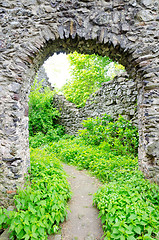 Image showing The ruins of Nevitsky castle 