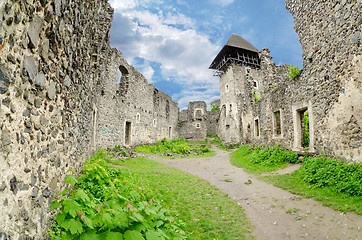 Image showing The ruins of Nevitsky castle 