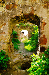 Image showing The ruins of an abandoned Pnivsky castle in Ukraine