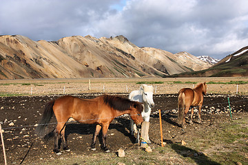 Image showing Iceland