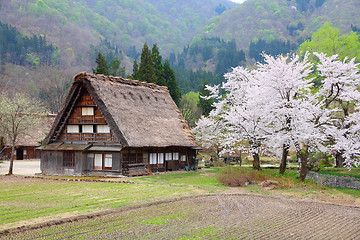 Image showing Shirakawa-go, Japan