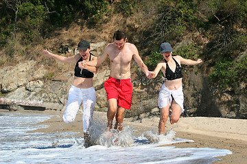 Image showing Friends on the beach