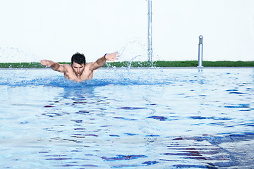 Image showing a butterfly hobby swimmer in action