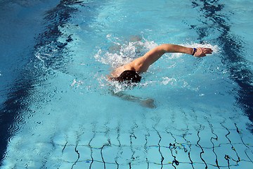 Image showing hobby swimmer swim the crawl in pool