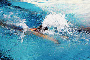 Image showing swimming butterfly
