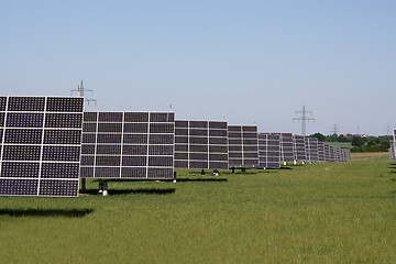 Image showing solar plants in the rows
