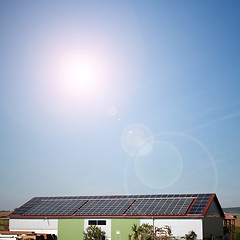 Image showing solar plants in the house during sunny weather