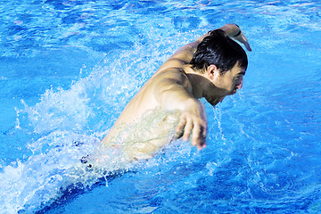Image showing hobby butterfly swimmer in pool