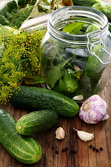 Image showing Pickling cucumbers.