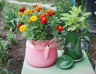 Image showing Old kettles used in garden design