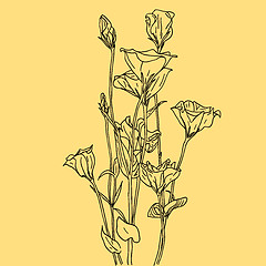 Image showing vector flower background