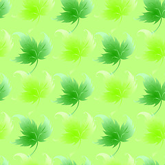 Image showing Wallpaper with curling leaves of a plant