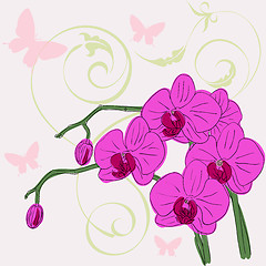 Image showing  twig blossoming orchids 