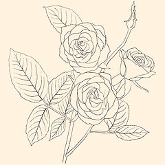 Image showing hand drawing illustration of a  bouquet of roses 