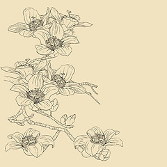 Image showing tender twig blossoming orchids on a light background 