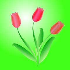 Image showing Vector bouquet from three beautiful tulips