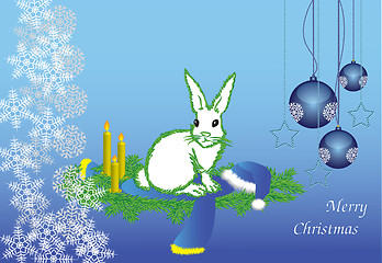 Image showing The white hare 