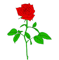 Image showing One red Rose in hand drawn style