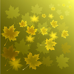 Image showing abstract flora background