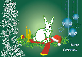 Image showing The white hare 