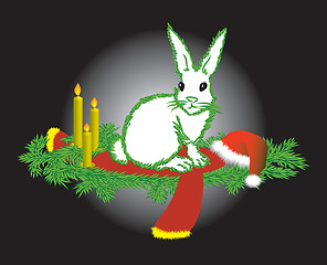 Image showing The white hare 