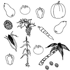 Image showing Vegetables set in the vector